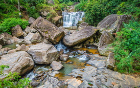 Forest waterfall flows down huge stones