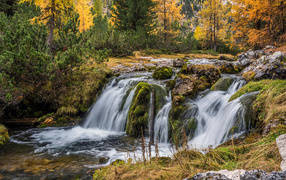 The fast water of the waterfall flows down the stones in the autumn forest