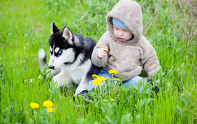 Маленький ребенок сидит в зеленой траве с хаски 