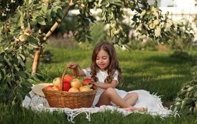 Little girl sits with a basket with apples on the grass