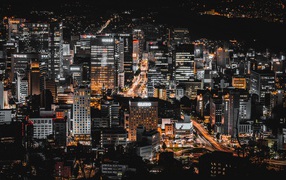 View of the night metropolis, Korea