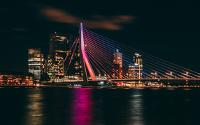 Erasmus Bridge Rotterdam on the background of the metropolis. Netherlands
