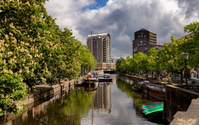 Водный канал в городе с цветущими каштанами, Нидерланды 