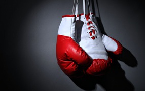 Red boxing gloves on gray background