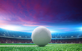 White soccer ball lies on a soccer field