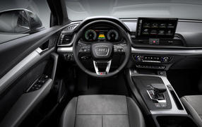 Черный стильный кожаный салон автомобиля Audi Q5 55 TFSI E Quattro S Line