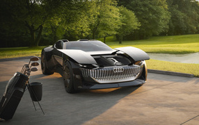 Unusual 2021 Audi Skysphere Concept car
