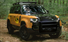 Внедорожник Land Rover Defender 110, 2022 года в лесу