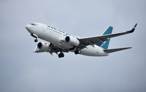 Пассажирский Boeing 737 авиакомпании  WestJet в небе 