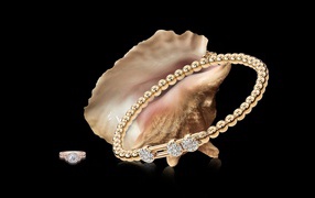 Expensive gold bracelet with a shell on a black background