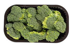 Green broccoli in black form on white background