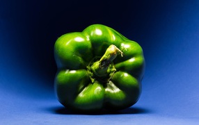 Green paprika peppers on blue background