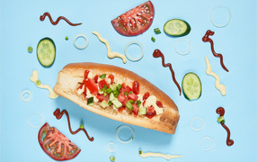 Hot dog with vegetables on a blue background