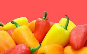 Red and yellow peppers on pink background