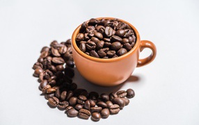 Жареные зерна кофе в кружке  на белом фоне