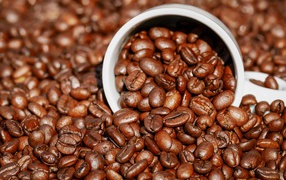 Roasted coffee beans on the table with a cup