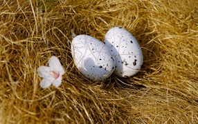 Two eggs lie on dry grass