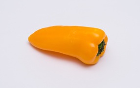 Yellow bell pepper on gray background