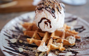 Waffle with a scoop of ice cream and chocolate