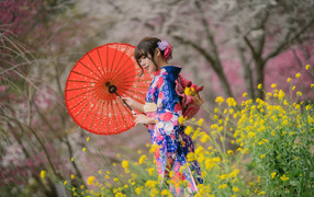 Красивая девушка в кимоно с зонтом в руке 