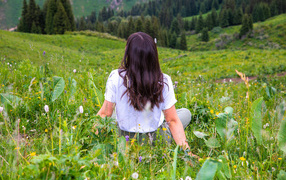 Красивая молодая девушка сидит на поле с зеленой травой