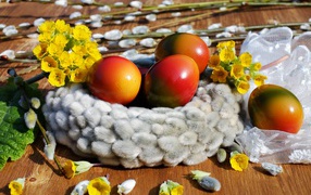 Bright colored eggs with yellow flowers and pussy willow for Easter