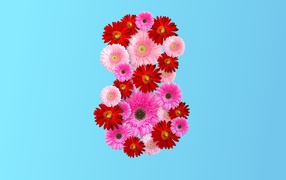 Numeral 8 from gerbera flowers on light blue background