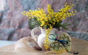 Yellow flowers of mimosa and a heart for the beloved on March 8