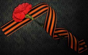 St. George ribbon and red carnation on May 9 Victory Day