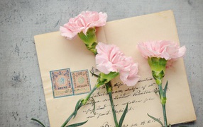 Three pink carnations with a letter on the table for May 9