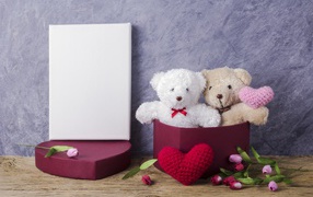Two teddy bears and a gift for February 14 Valentine's Day
