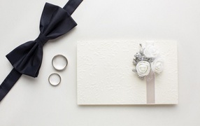 Wedding invitation, rings and black butterfly