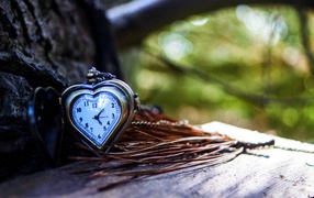 Heart shaped pocket watch by a tree