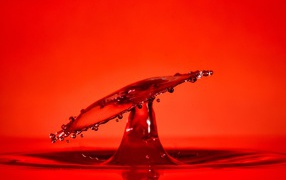 Splashing water on red background