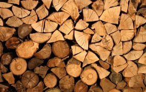 Stack of firewood in the street