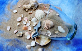 Морские ракушки и чашка с песком на пляже 