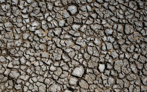 Drought cracked earth