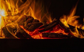 Firewood burns with a yellow flame in the fireplace