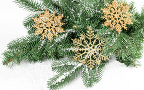 Golden snowflakes and fir branches in the snow