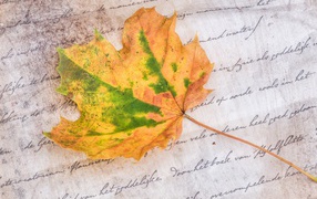 A fallen autumn leaf lies on a notebook