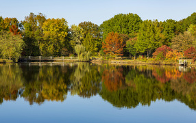 Beautiful trees with yellow leaves by the lake in autumn