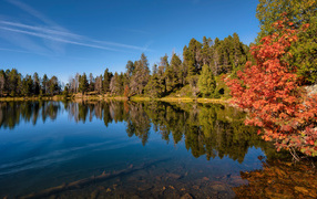 Beautiful view of the autumn trees by the lake under the blue sky