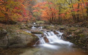 The fast water of the river flows down the stones in the autumn forest