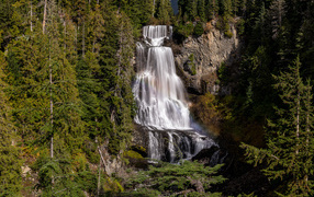 The large Alexander Falls flows down a rock in the forest