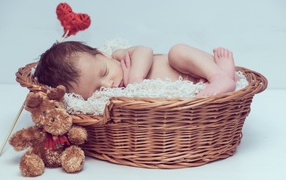 Красивый маленький грудной ребенок спит в корзине с игрушкой 