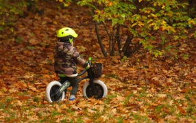 Маленький мальчик на велосипеде в осеннем парке 