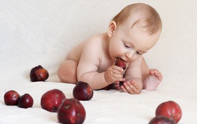 Маленький грудной ребенок грызет красные яблоки 