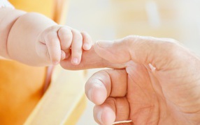 Small hand of a child holding the hand of an adult