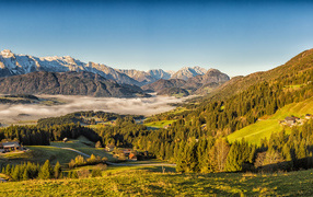 Beautiful view of the Alps mountains covered with green forest, Austria