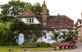 Beautiful house with flowers, England
